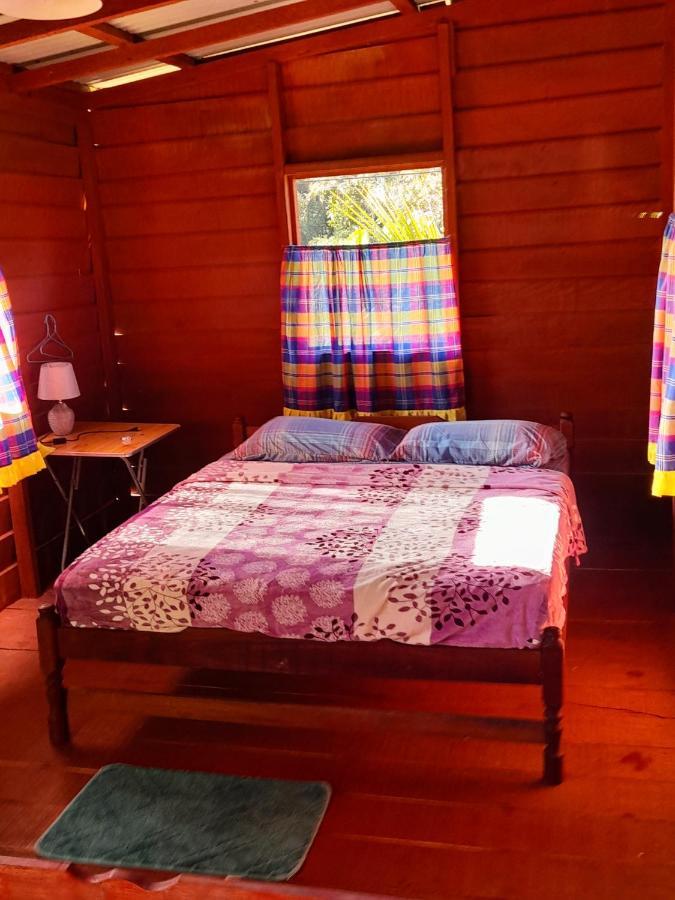 Bed and Breakfast Reset Zanderij Екстер'єр фото